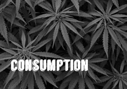 consumption methods medical marijuana