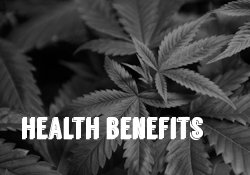 Health benefits medical marijuana