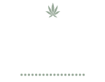 My Marijuana Story Logo